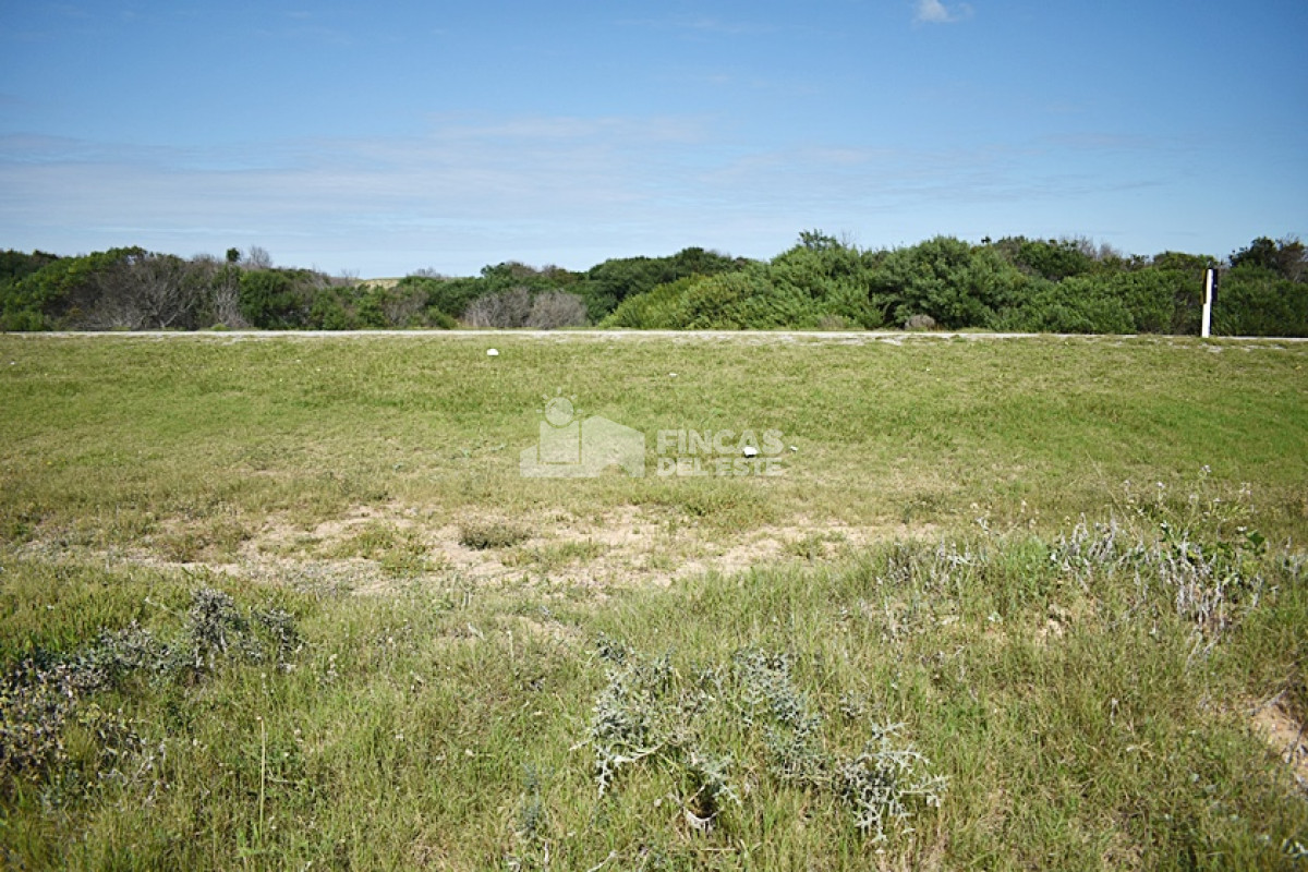 Terreno ID.717/LA-JUANITA- - LA JUANITA 