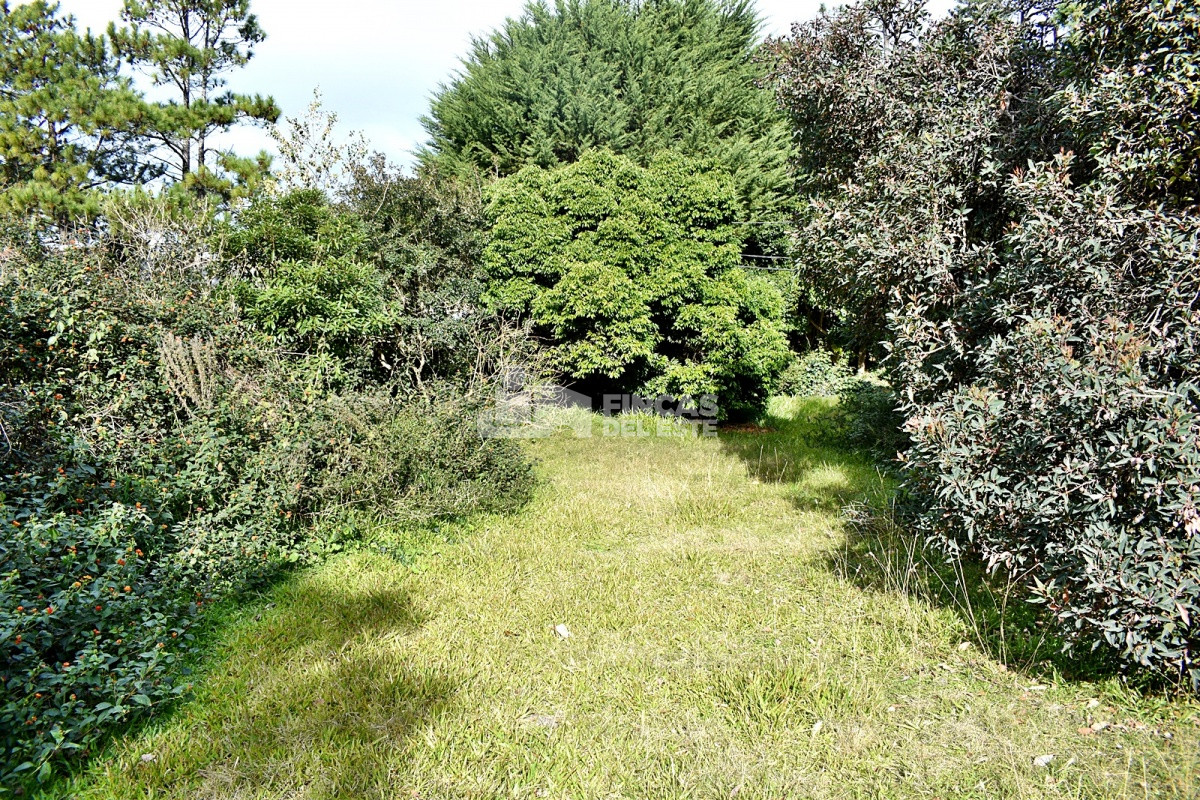 Terreno ID.836/Terreno-a-pasos-del-mar- - Terreno a pasos del mar 