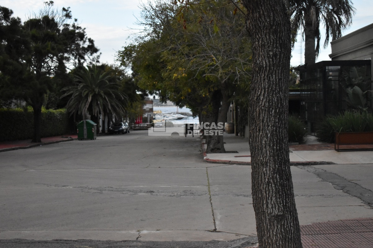 Terreno ID.651/TERRENO-EN-PENINSULA- - TERRENO EN PENINSULA 