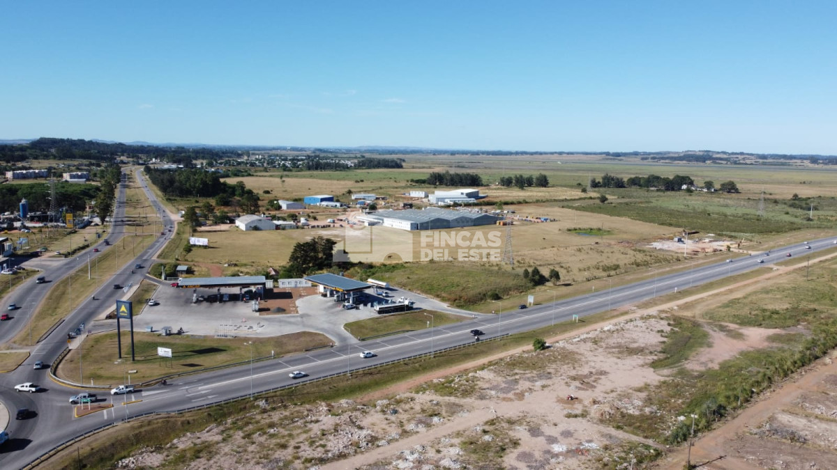 Maldonado - GoPunta - Portal Inmobiliario de Punta del Este - Maldonado