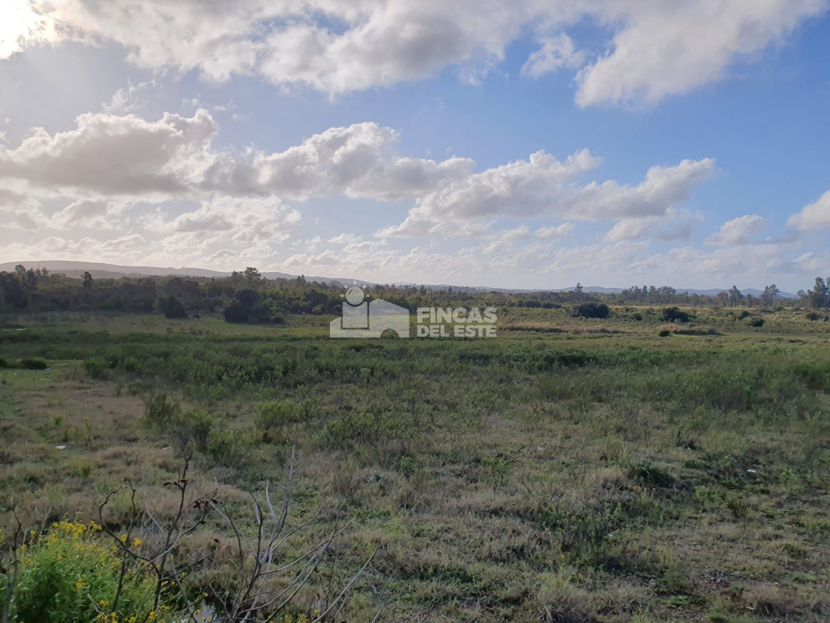 Terreno ID.1196/Terreno-en-San-Carlos - Terreno en San Carlos