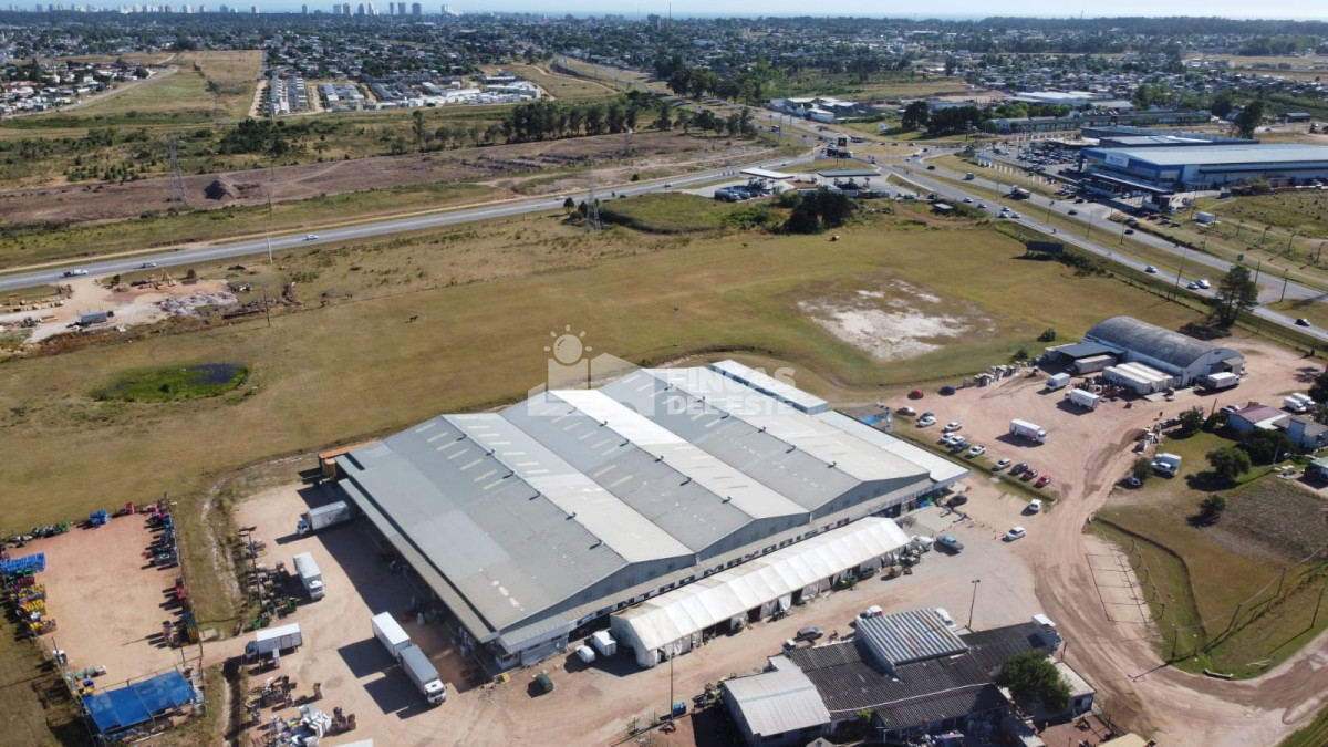 Maldonado - GoPunta - Portal Inmobiliario de Punta del Este - Maldonado