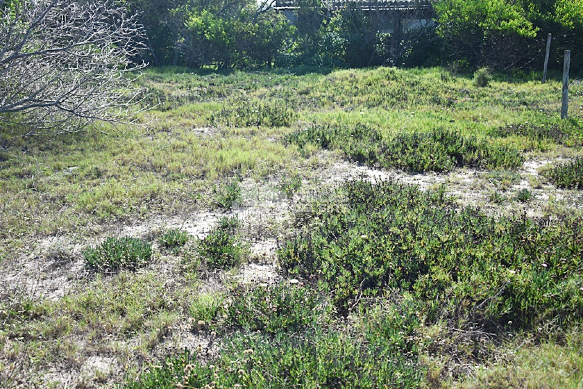 Terreno ID.713/TERRENOS-VARIOS-EN-LA-JUANITA- - TERRENOS VARIOS EN LA JUANITA 