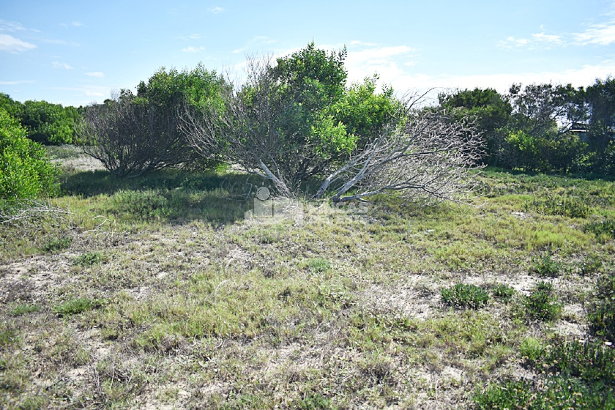 Terreno ID.713/TERRENOS-VARIOS-EN-LA-JUANITA- - TERRENOS VARIOS EN LA JUANITA 