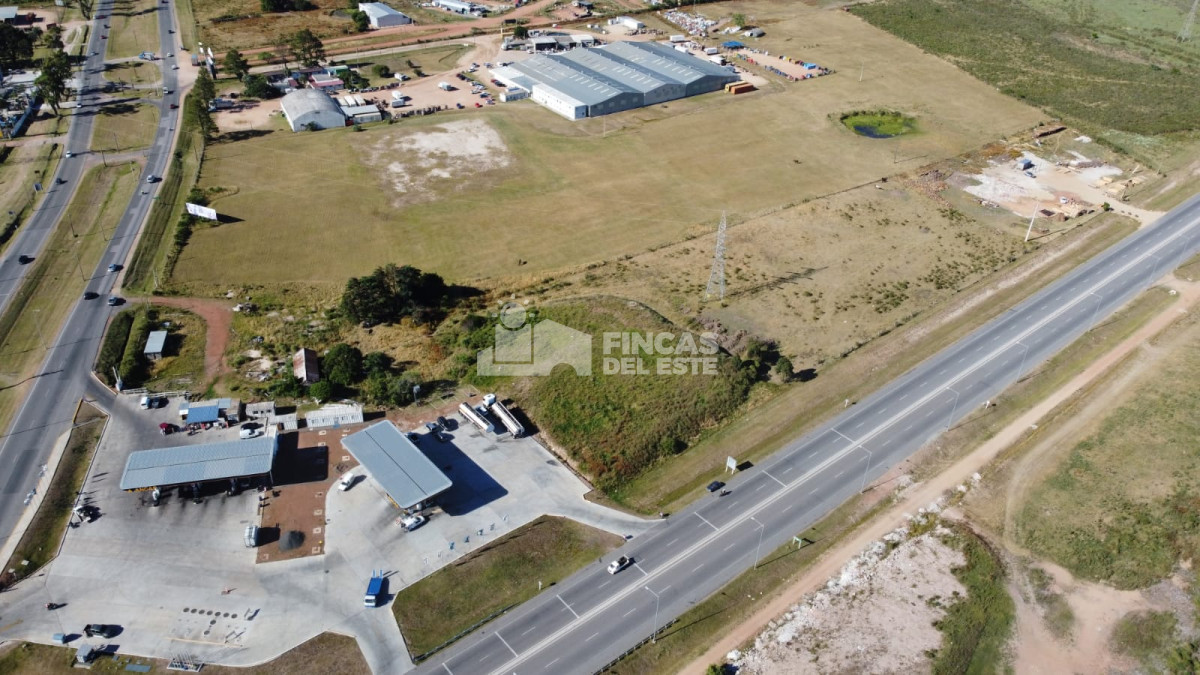 Maldonado - GoPunta - Portal Inmobiliario de Punta del Este - Maldonado
