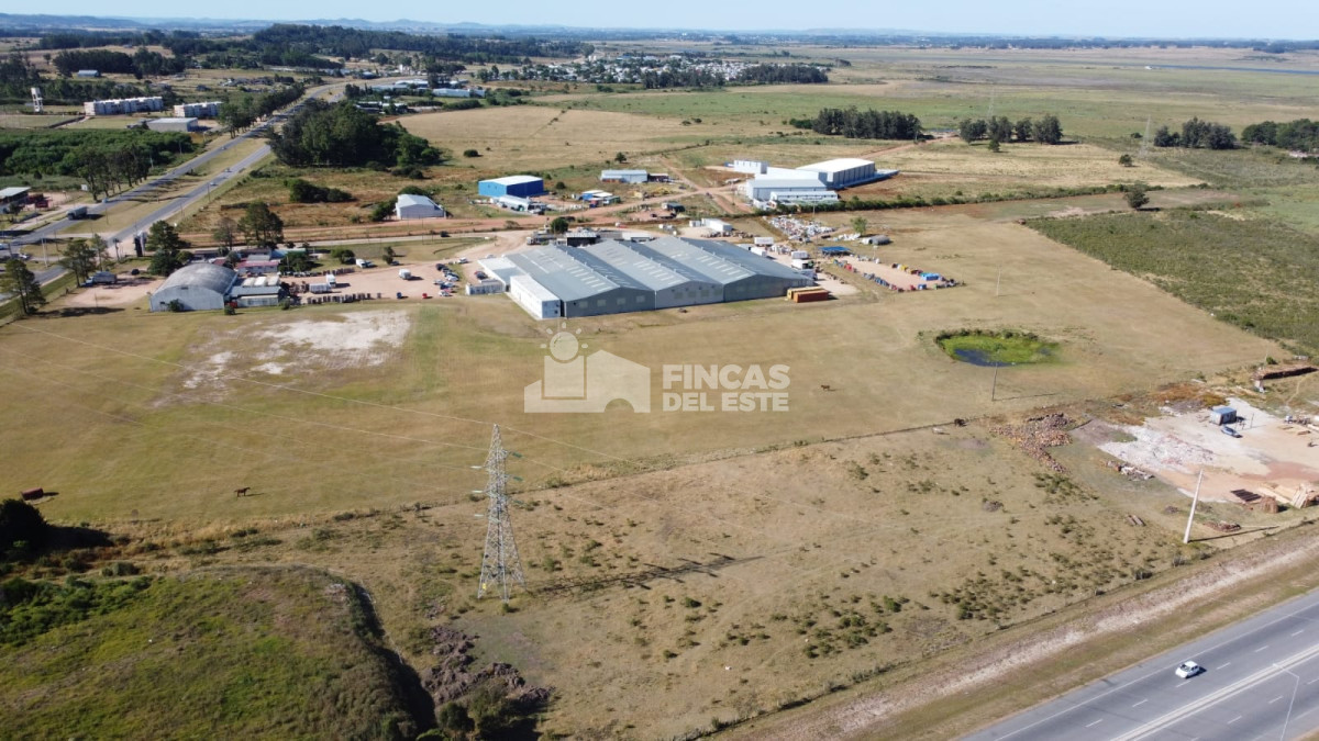 Maldonado - GoPunta - Portal Inmobiliario de Punta del Este - Maldonado