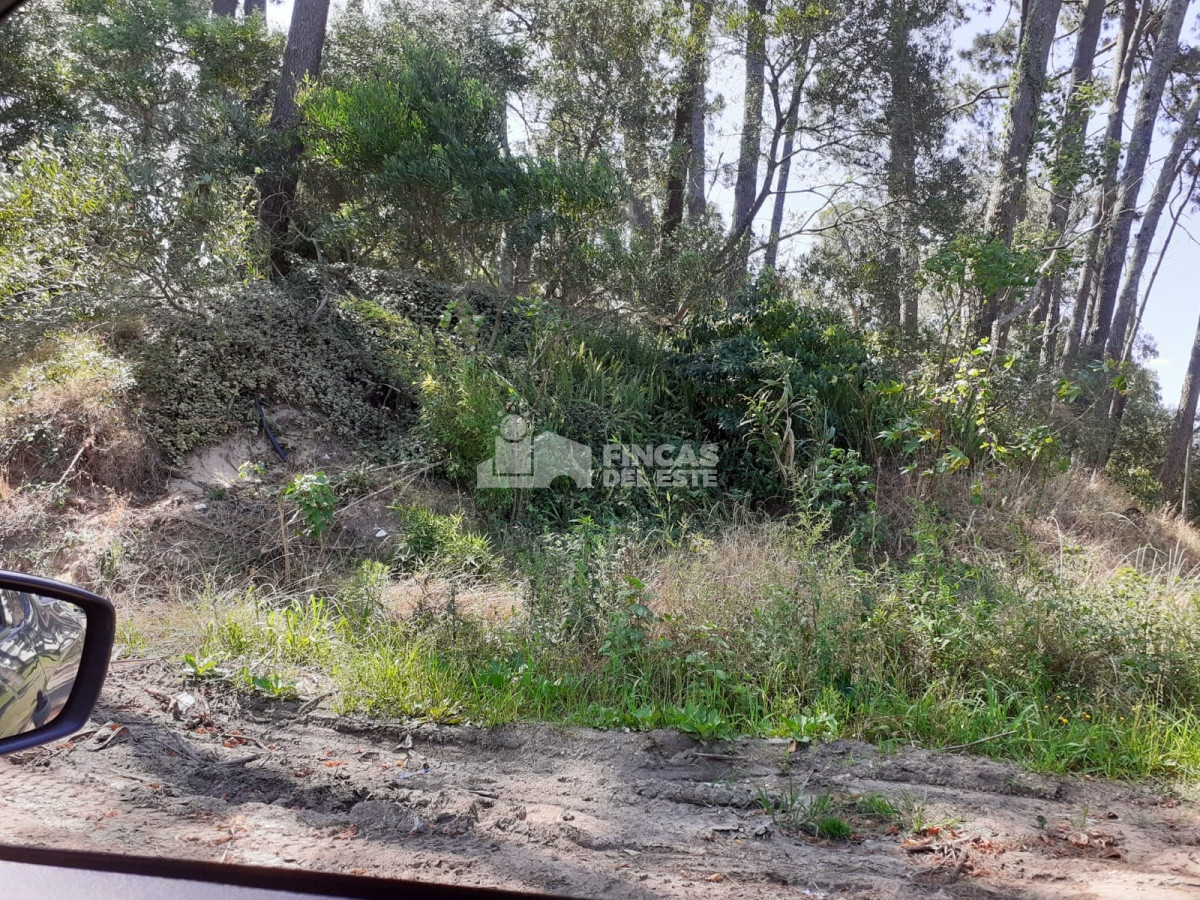 Terreno ID.322/Terreno-ideal-para-construir! - Terreno ideal para construir!