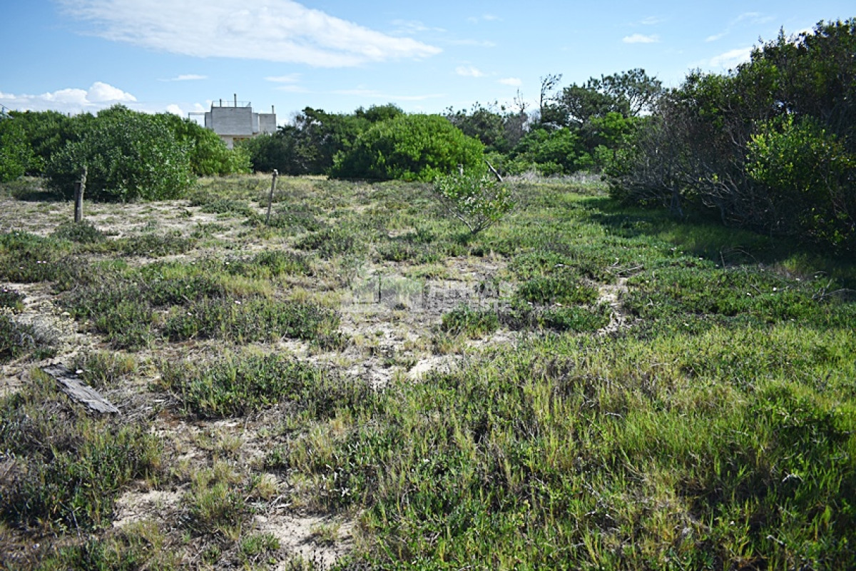 Terreno ID.713/TERRENOS-VARIOS-EN-LA-JUANITA- - TERRENOS VARIOS EN LA JUANITA 
