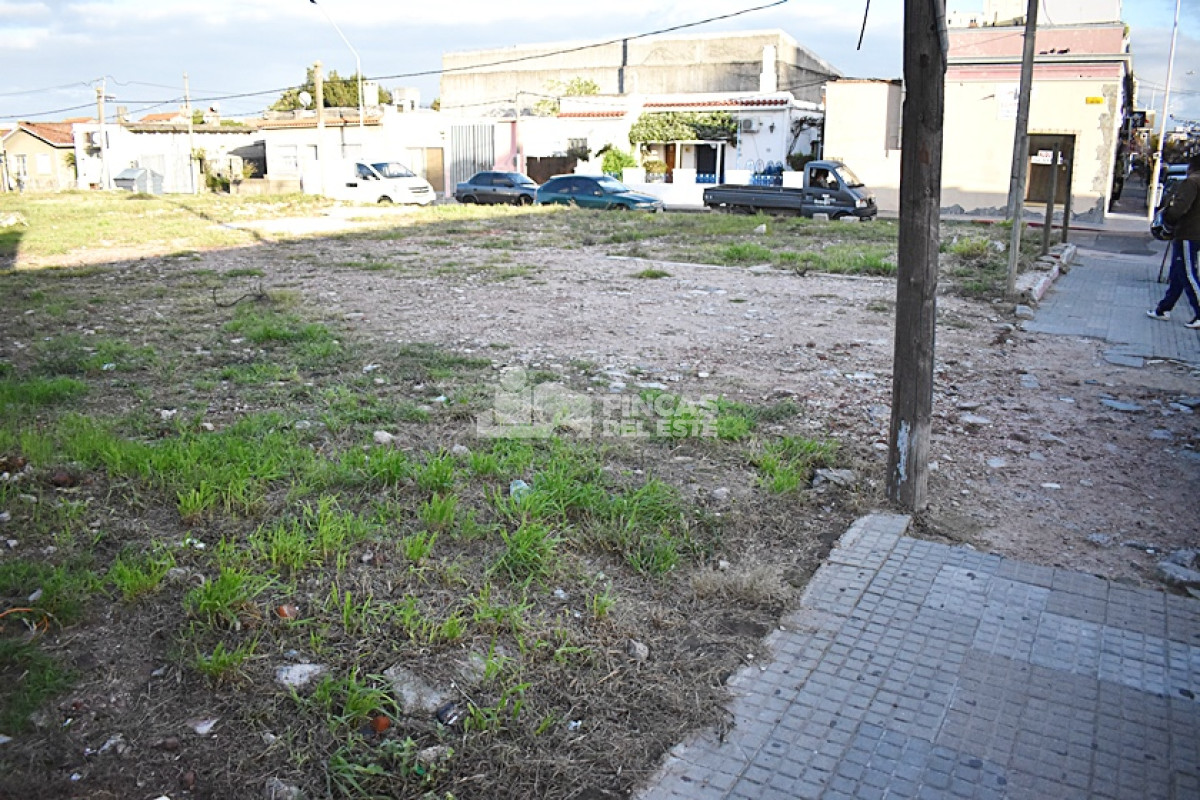 Terreno ID.760/TERRENO-CENTRO-MALDONADO- - TERRENO CENTRO MALDONADO 