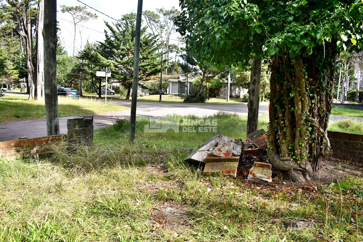 Terreno ID.836/Terreno-a-pasos-del-mar- - Terreno a pasos del mar 