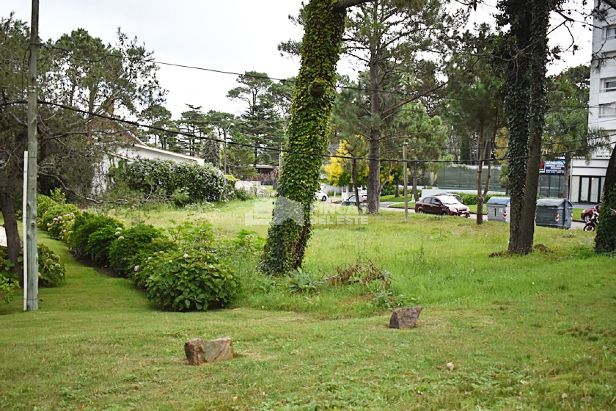 Terreno ID.728/TERRENO-en-Roosevelt. - TERRENO en Roosevelt.