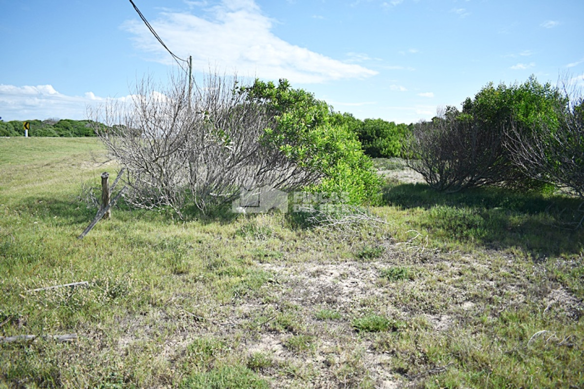 Terreno ID.713/TERRENOS-VARIOS-EN-LA-JUANITA- - TERRENOS VARIOS EN LA JUANITA 