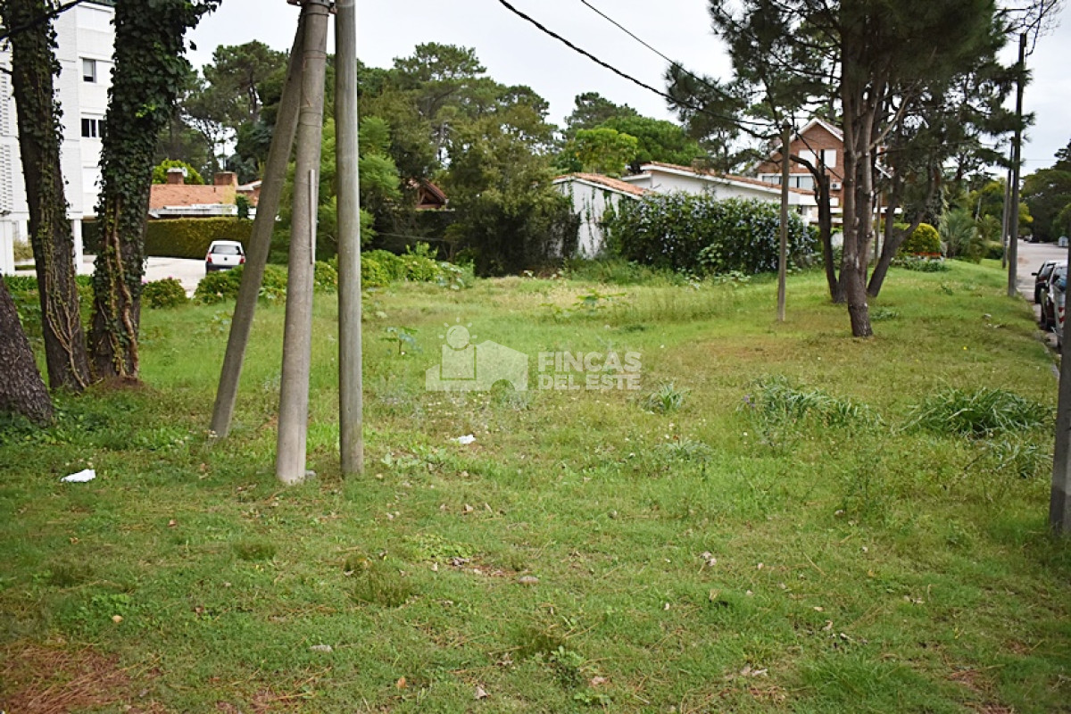 Terreno ID.728/TERRENO-en-Roosevelt. - TERRENO en Roosevelt.