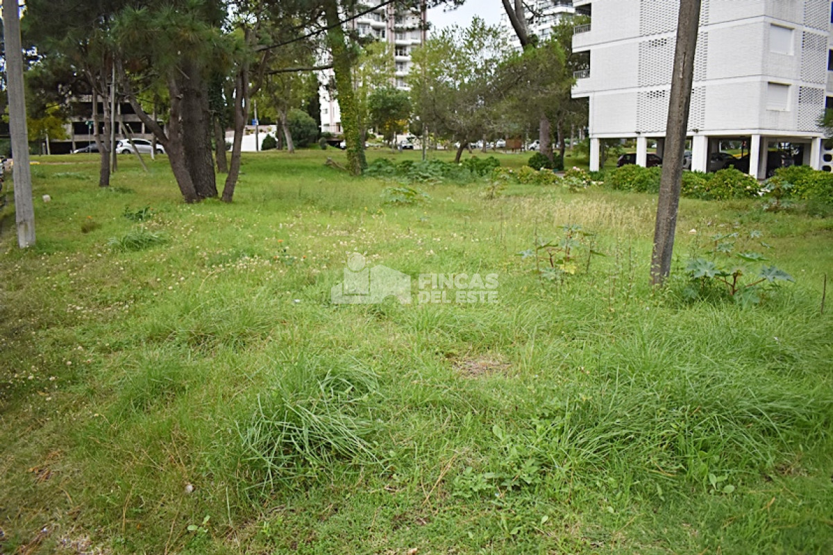 Terreno ID.728/TERRENO-en-Roosevelt. - TERRENO en Roosevelt.