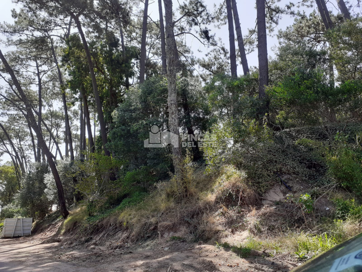 Terreno ID.322/Terreno-ideal-para-construir! - Terreno ideal para construir!