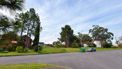 Terreno en pinares- Maldonado