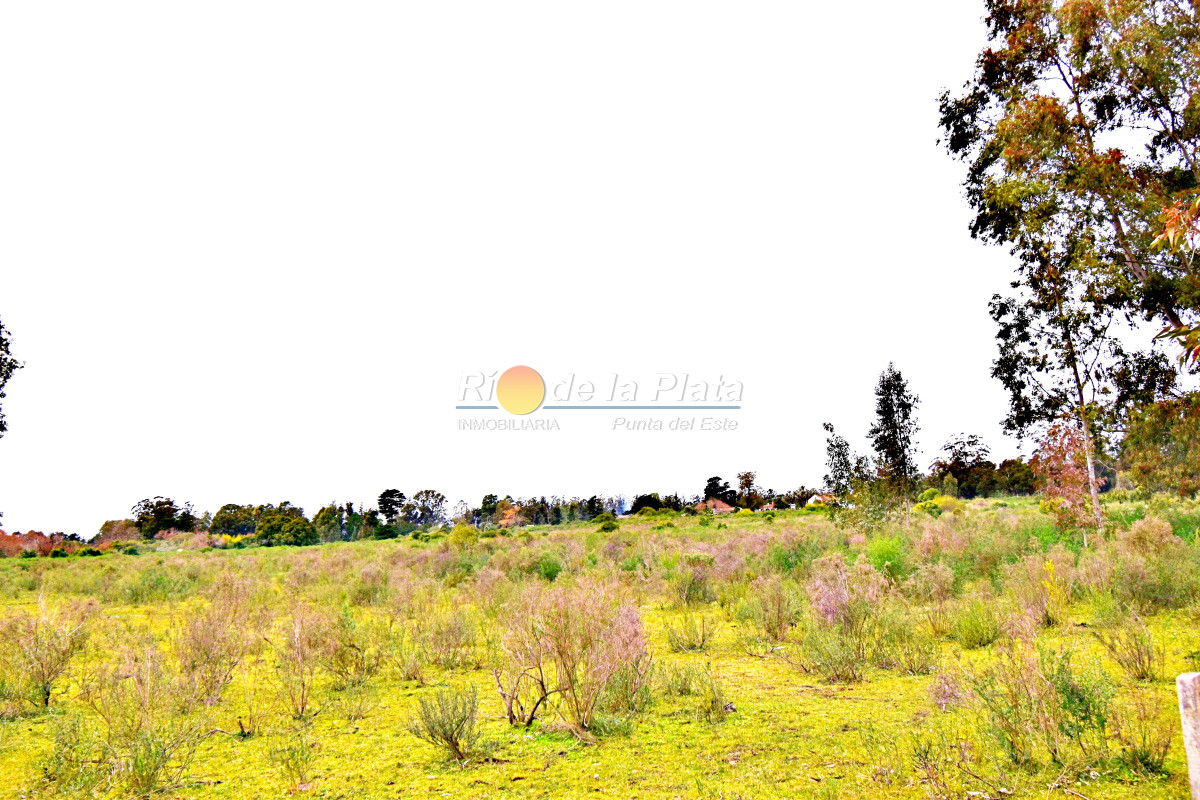 Propiedad - GoPunta - Portal Inmobiliario de Punta del Este - Maldonado