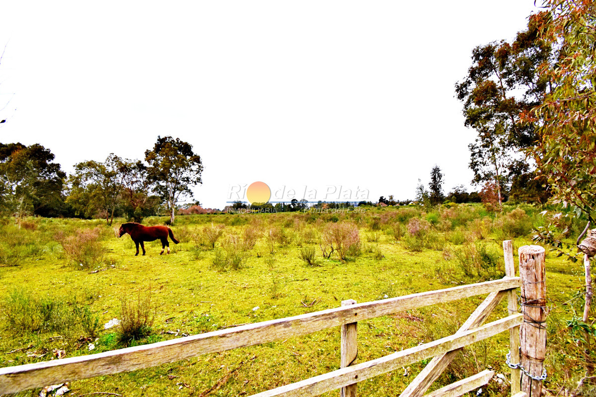 Propiedad - GoPunta - Portal Inmobiliario de Punta del Este - Maldonado