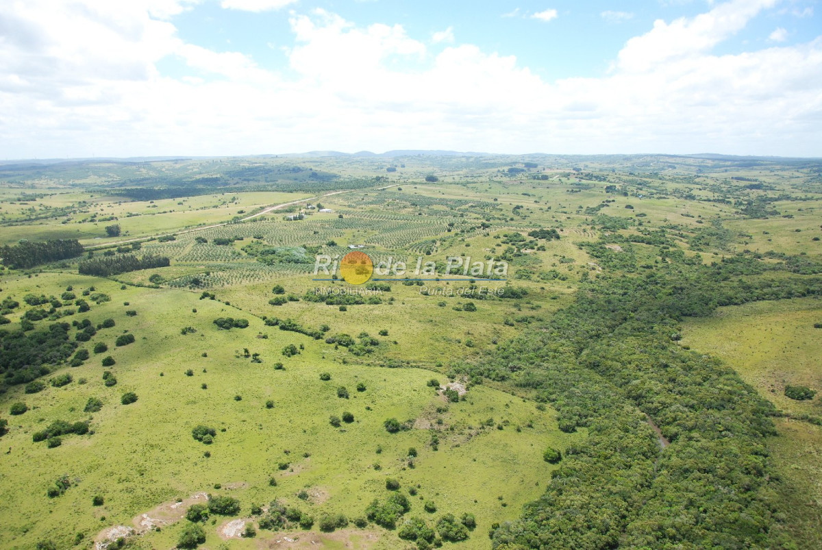 Chacra en Paraje Las Cañas - GoPunta - Portal Inmobiliario de Punta del Este - Maldonado