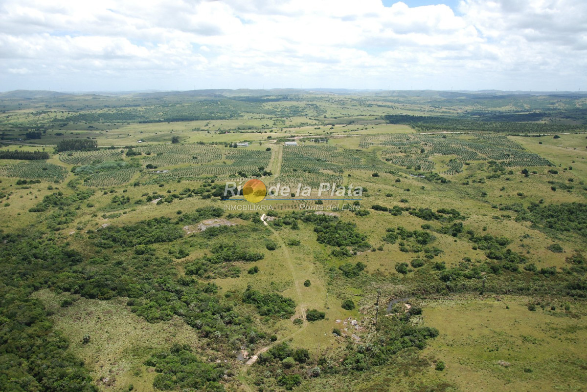 Chacra en Paraje Las Cañas - GoPunta - Portal Inmobiliario de Punta del Este - Maldonado