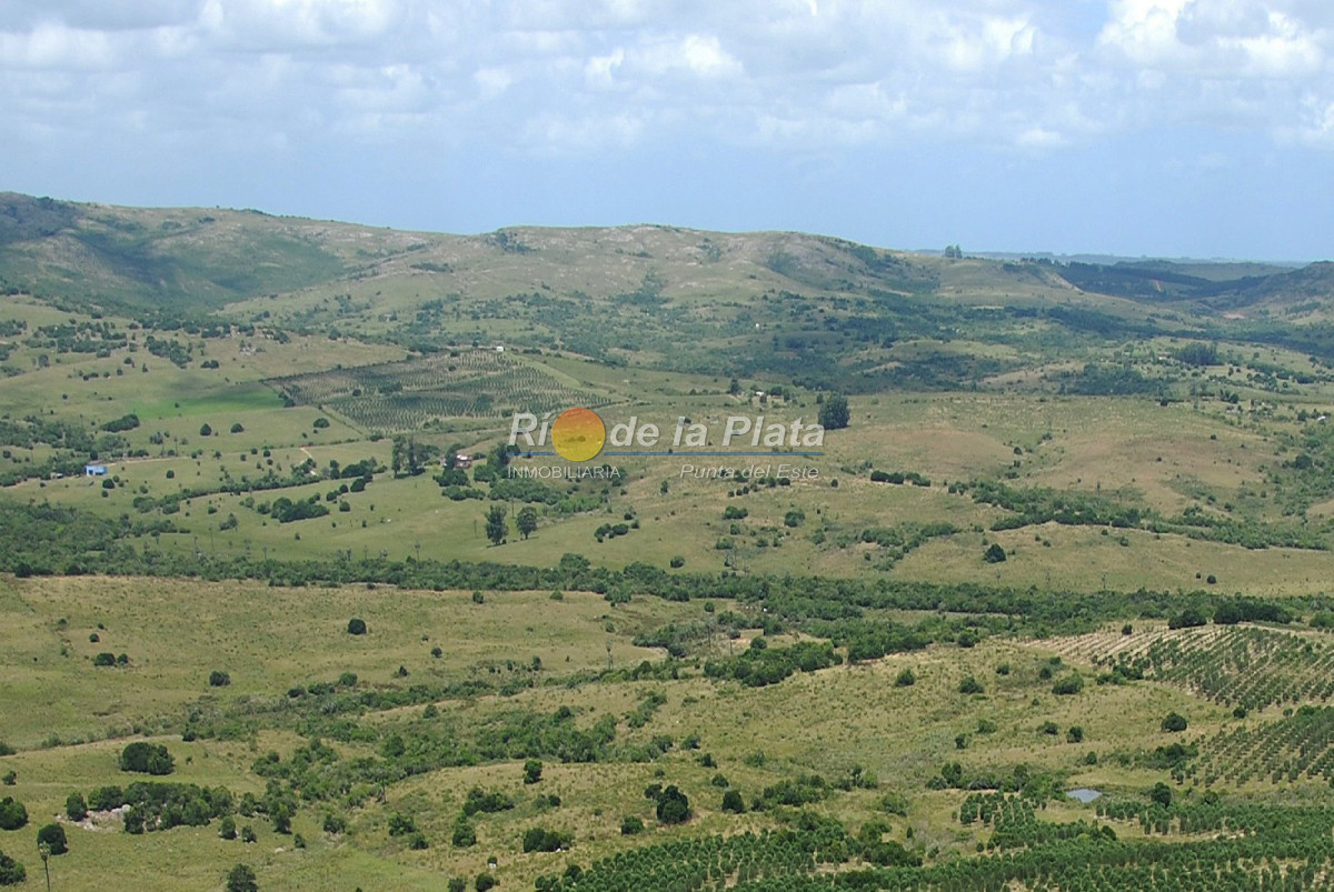 Chacra en Paraje Las Cañas - GoPunta - Portal Inmobiliario de Punta del Este - Maldonado