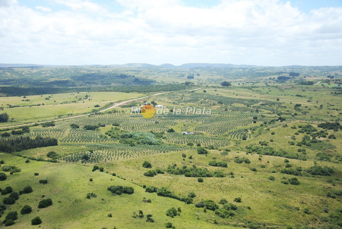 Chacra en Paraje Las Cañas - GoPunta - Portal Inmobiliario de Punta del Este - Maldonado