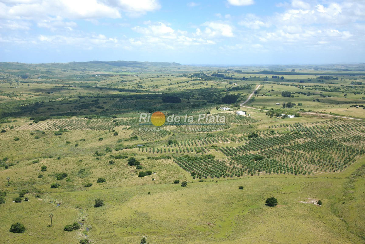 Chacra con Casa en Paraje Las Cañas - GoPunta - Portal Inmobiliario de Punta del Este - Maldonado