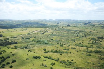 Chacra en Paraje Las Cañas