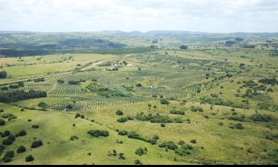 Chacra en Paraje Las Cañas