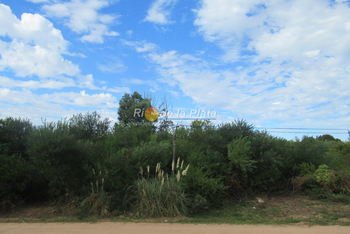 Rincón del Indio - GoPunta - Portal Inmobiliario de Punta del Este - Maldonado