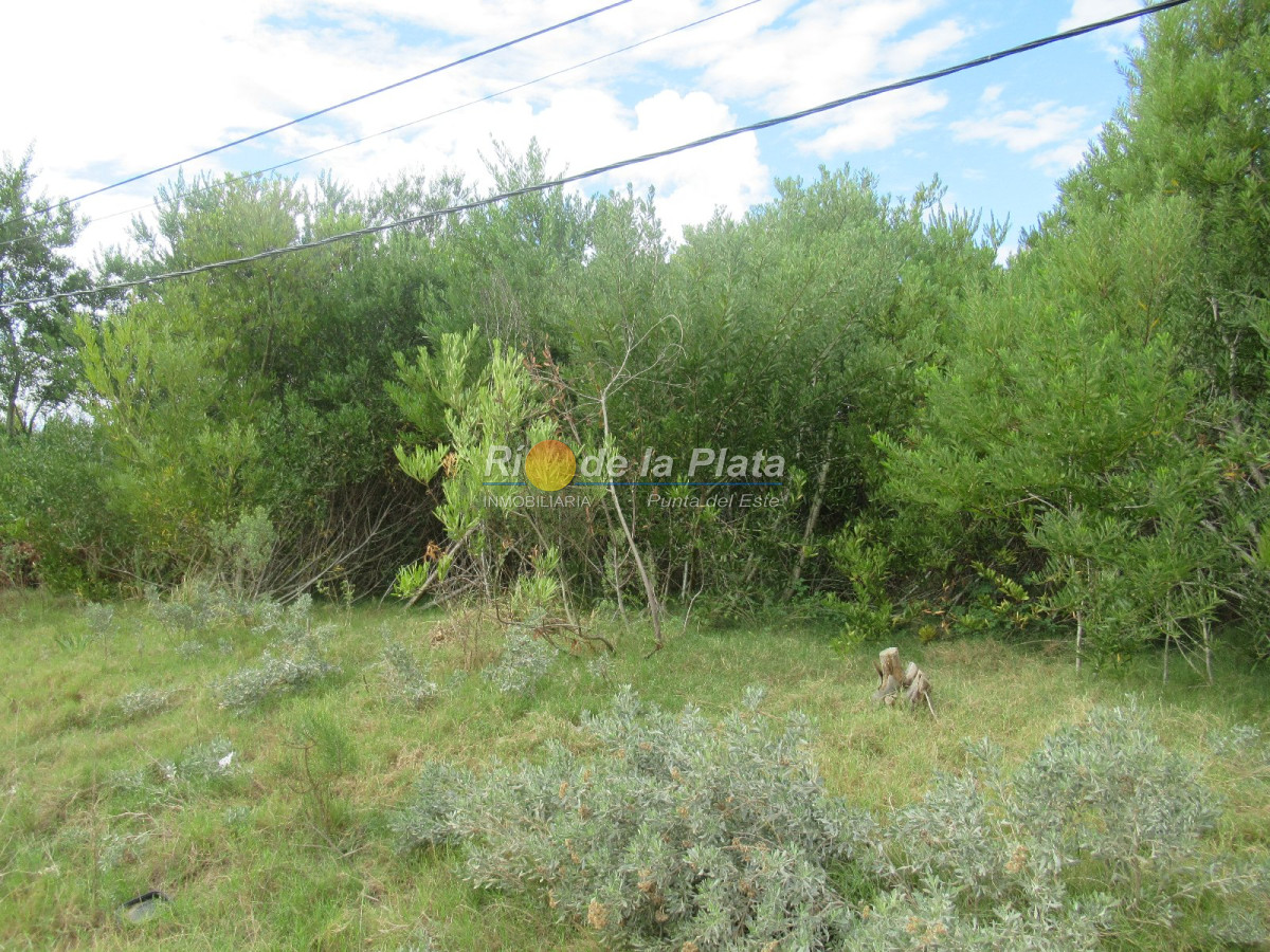 Rincón del Indio - GoPunta - Portal Inmobiliario de Punta del Este - Maldonado