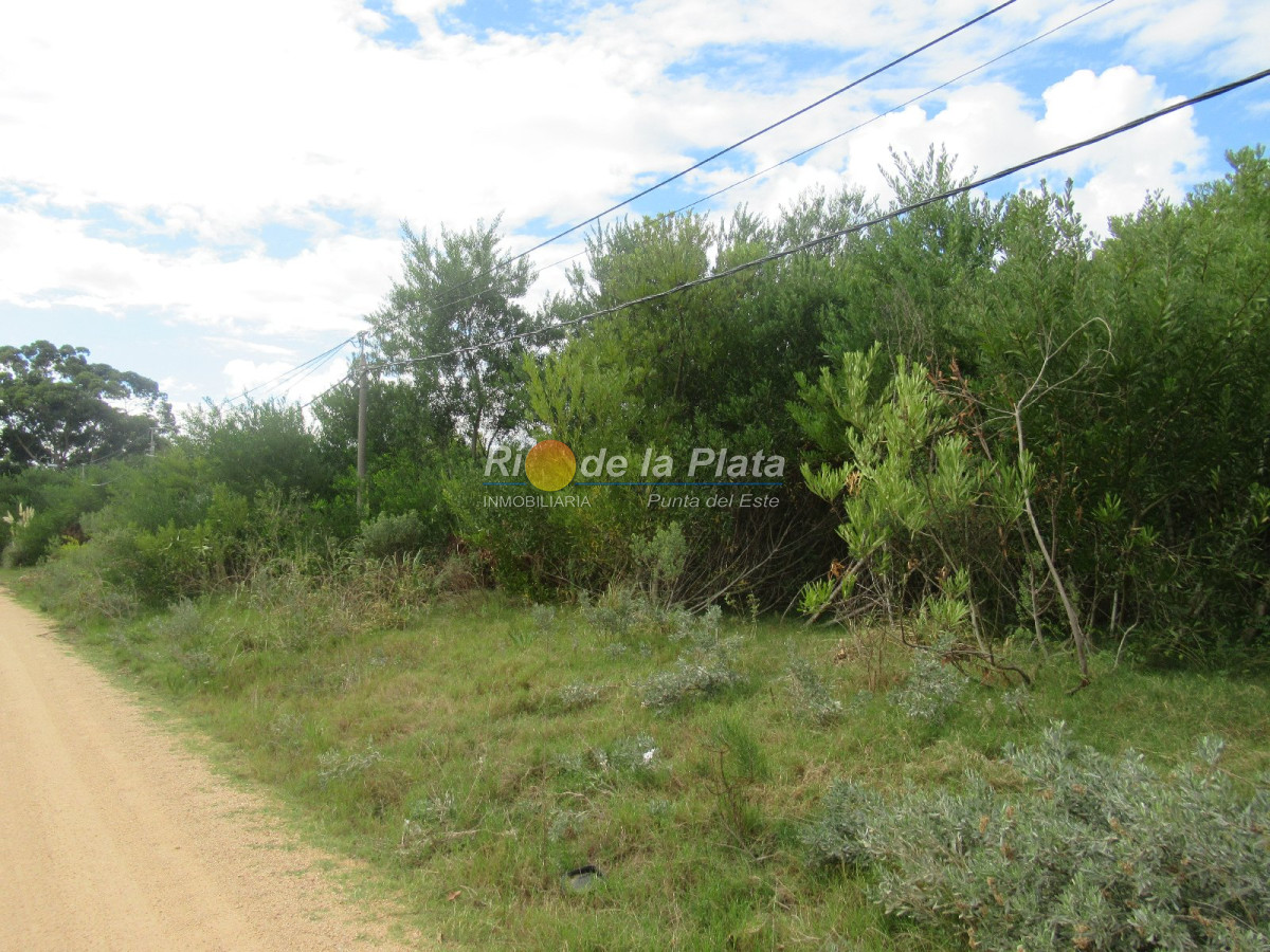Rincón del Indio - GoPunta - Portal Inmobiliario de Punta del Este - Maldonado
