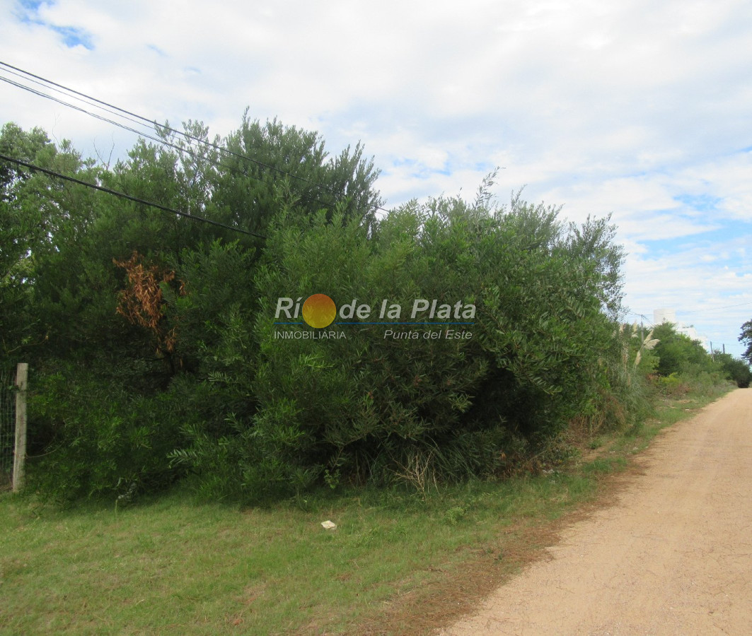 Rincón del Indio - GoPunta - Portal Inmobiliario de Punta del Este - Maldonado