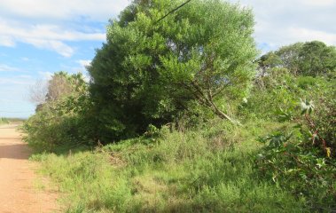 Terreno apto para construcción en propiedad horizontal