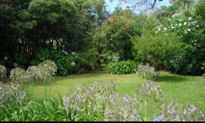 La Azul