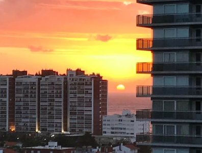 Apartamento de 2 dormitorios en venta en The Forest Tower, Punta del Este.