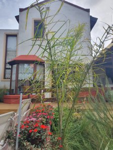 Casa en venta de 3 dormitorios en Manantiales, Punta del Este.