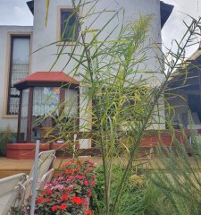 Casa en venta de 3 dormitorios en Manantiales, Punta del Este.