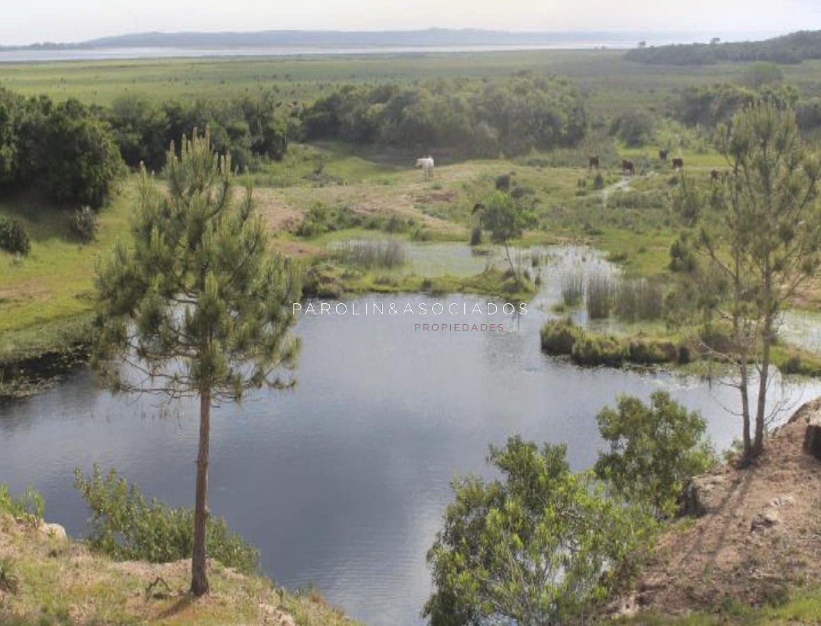 Hermosa chacra en venta en José Ignacio, Punta del Este.