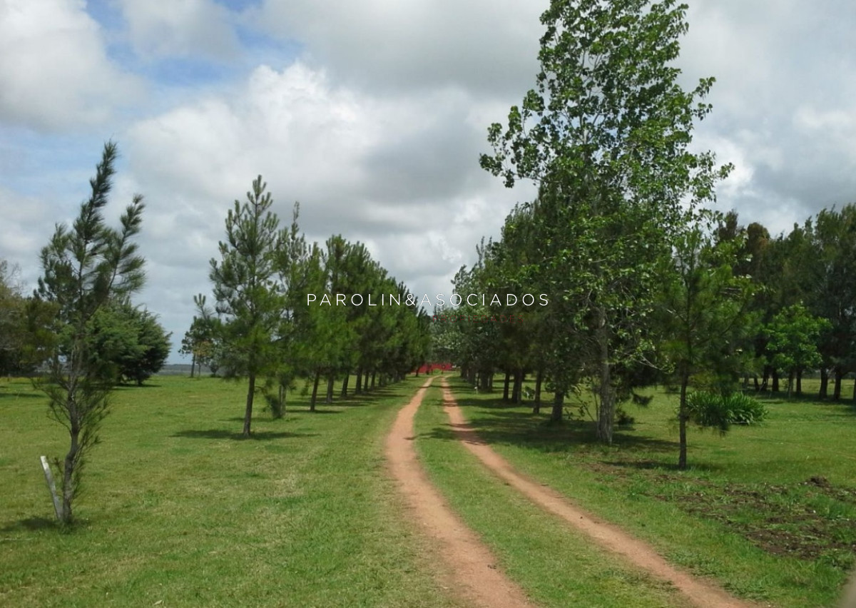 Chacra en Venta de 2 Dormitorios en Manantiales, Punta del Este