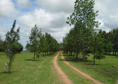 Chacra en Venta de 2 Dormitorios en Manantiales, Punta del Este