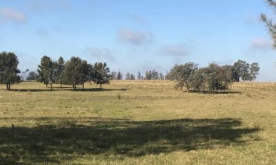 CHACRA 5 HECTAREAS EN HARAS DE MEDELLIN, PUNTA DEL ESTE