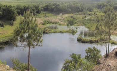 MUY LINDA CHACRA UBICADA PRÓXIMO A JOSE IGNACIO