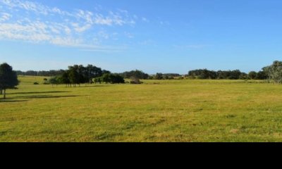 CHACRA 5 HECTAREAS EN HARAS DE MEDELLIN, PUNTA DEL ESTE