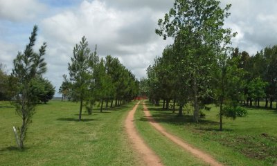 Chacra en Venta de 2 Dormitorios en Manantiales, Punta del Este