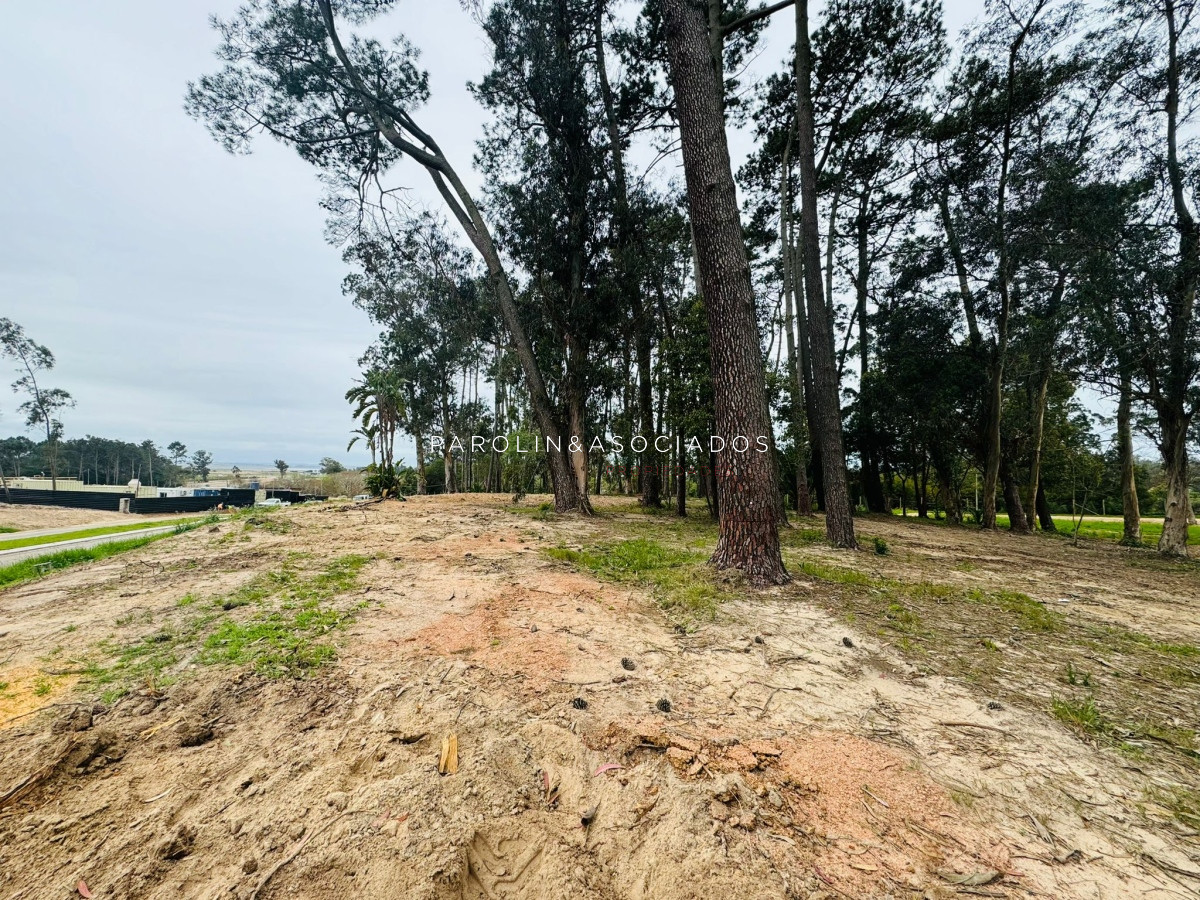 Punta del Este - GoPunta - Portal Inmobiliario de Punta del Este - Maldonado