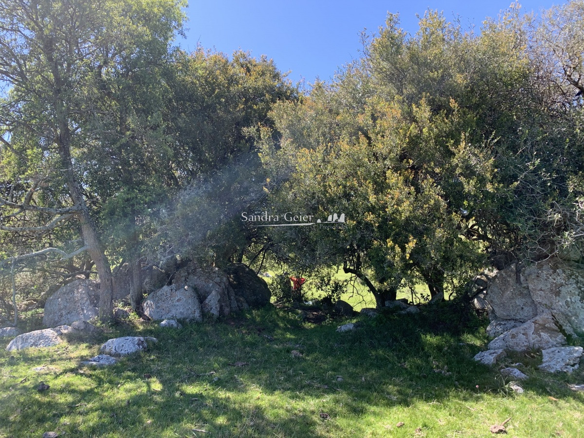 Chacra ID.1567 - RUTA 39 KM 74 MALDONADO HACIA AIGUA- DESDE u$S 40000.-