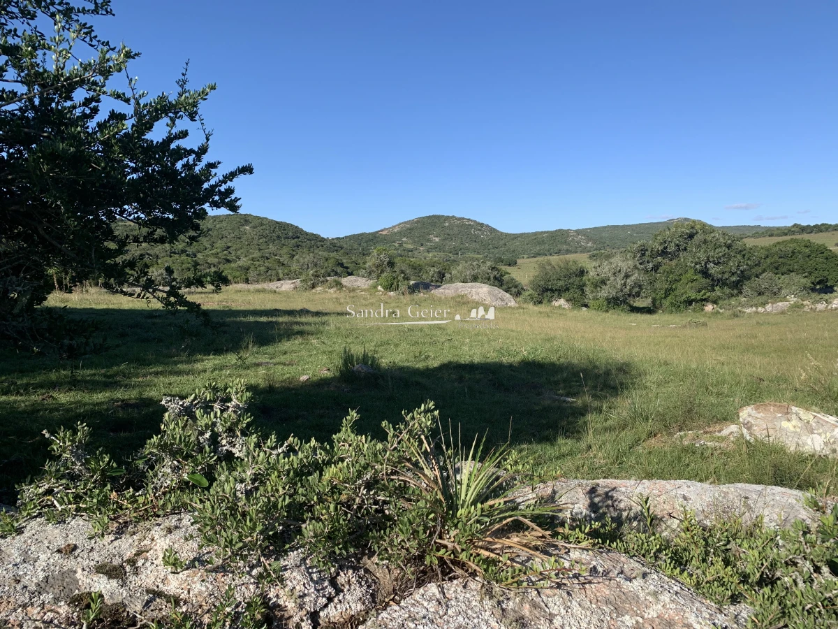 Chacra ID.1567 - 
