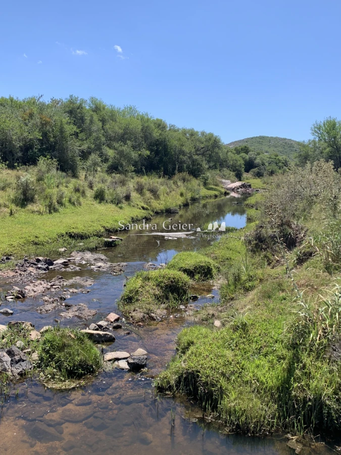Chacra ID.1567 - 