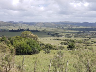 Chacra ID.1439 - Venta Chacras ruta 39 Km. 74 pegado a la ruta- Desde U$S 40.000.-